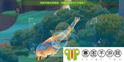 《原神》绮绘的踪绪活动拍照技巧