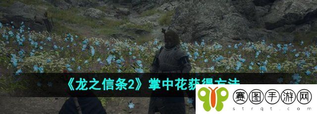 《龙之信条2》掌中花获得方法