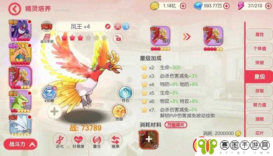 口袋冒险家