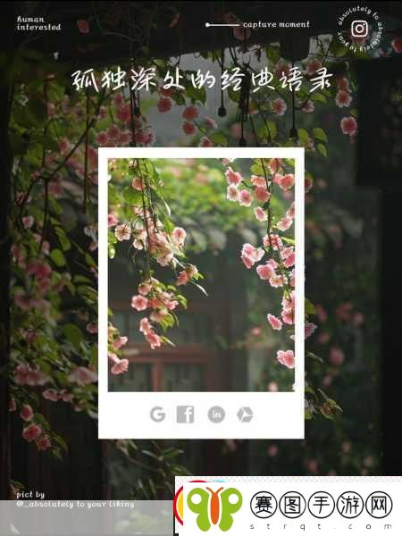 凌晨三点播放的视频叫什么