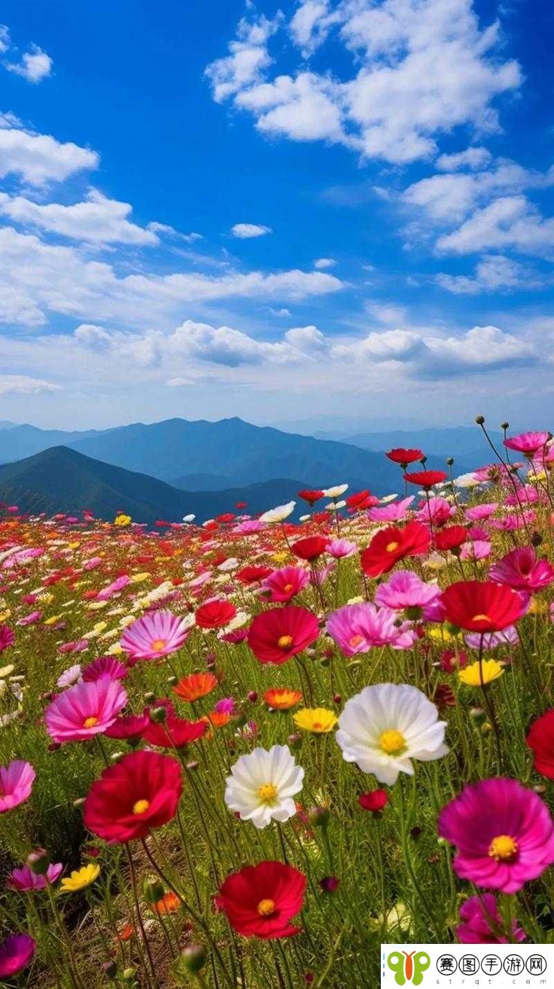 野花社区
