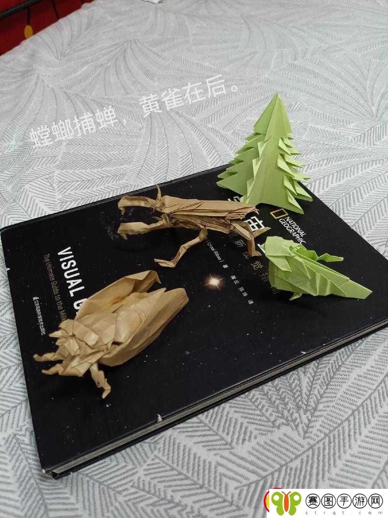 环形战争加尔多书库第