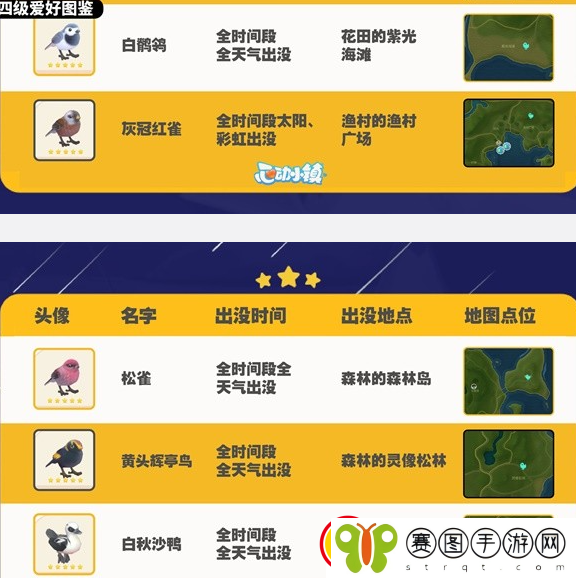 心动小镇观鸟图鉴大全