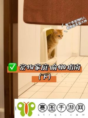 家庭宠物全结局指南与配方表