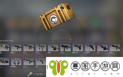CS