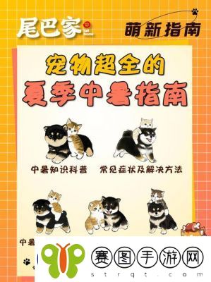 家庭宠物全结局指南与配方表