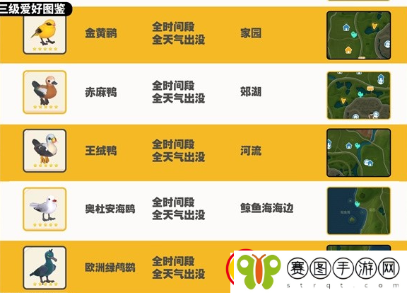心动小镇观鸟图鉴大全