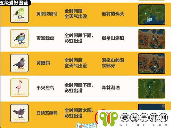 心动小镇观鸟图鉴大全