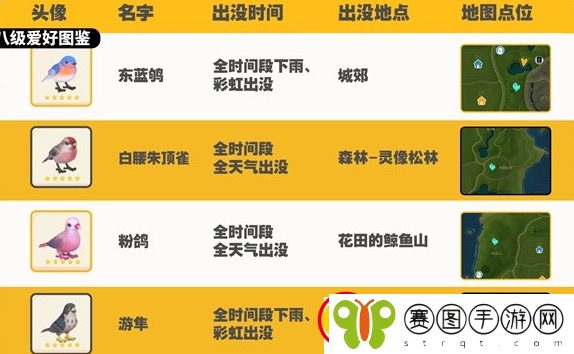 心动小镇观鸟图鉴大全