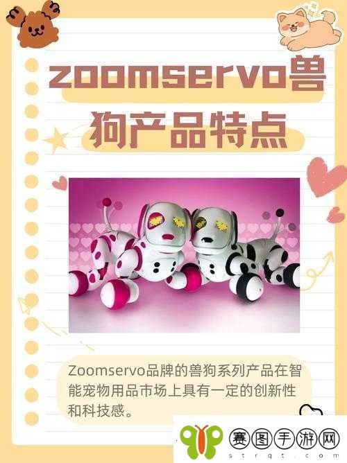 ZoomServo