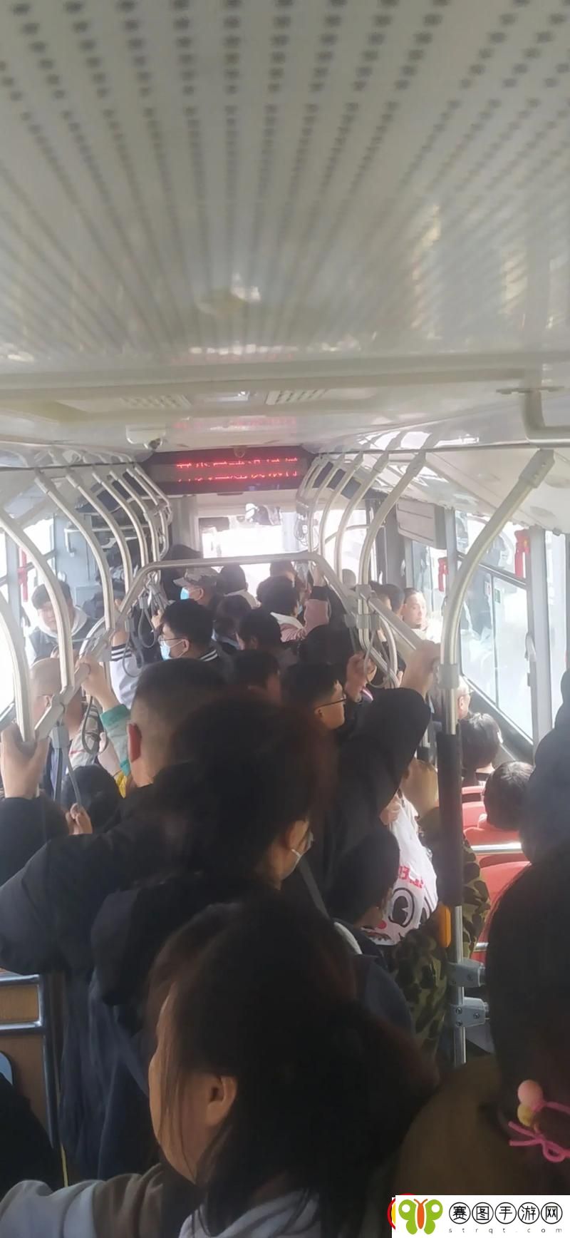 杨大壮与田桂花的公交车奇遇网友热议