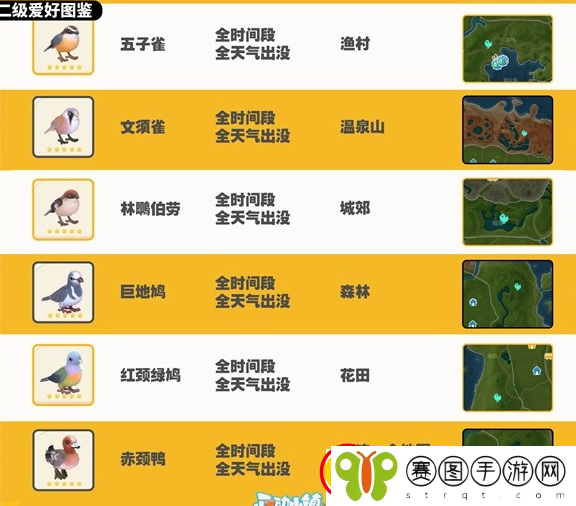 心动小镇观鸟图鉴大全