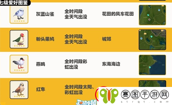 心动小镇观鸟图鉴大全