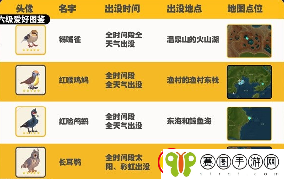 心动小镇观鸟图鉴大全