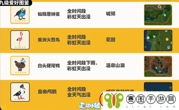 心动小镇观鸟图鉴大全