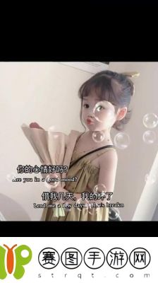 林中夫人树心的品质