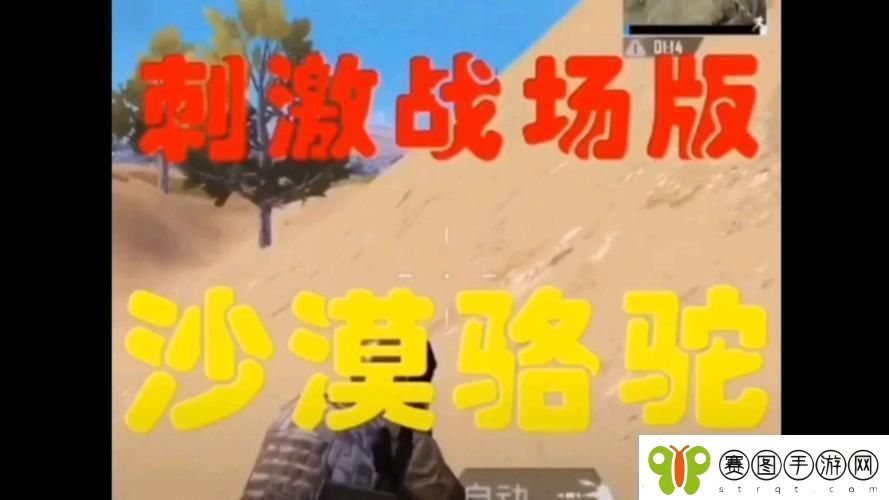 刺激双人行