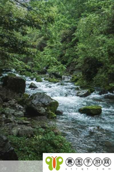 两峰夹小溪地湿又无泥诗小说1.两峰之间的静谧溪流