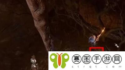 博德之门3枭熊蛋有用吗