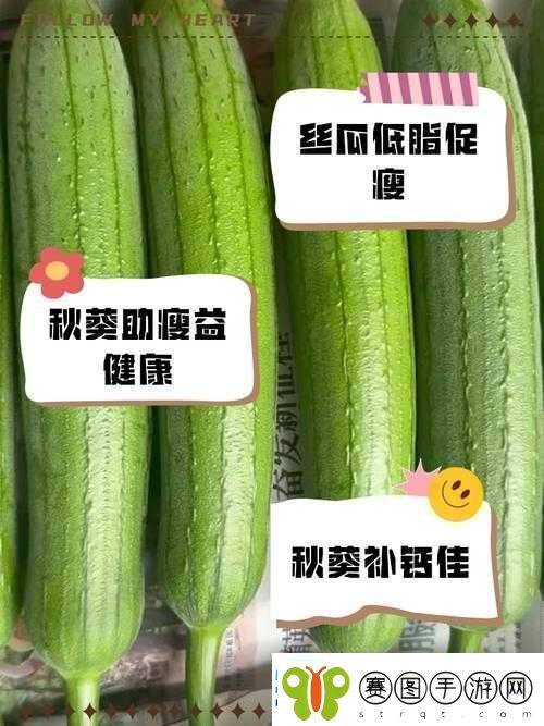 秋葵茄子丝瓜香瓜榴莲大全