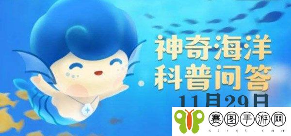 哪种入侵植物会威胁红树林生态