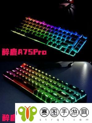 CSGO游戏名称标签如何添加中文