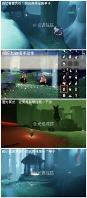 光遇雨林全攻略指南