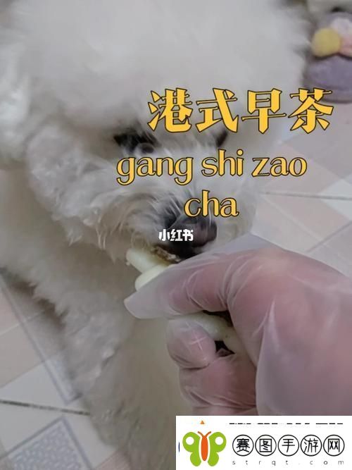 美国人与动物胶配方大全图片