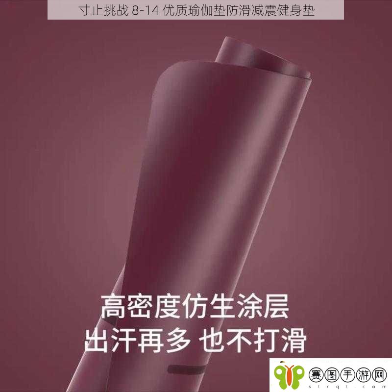 寸止挑战814优质瑜伽垫防滑减震健身垫