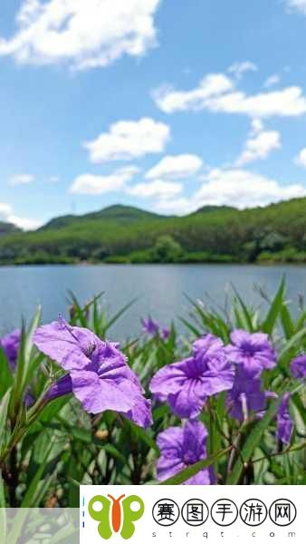 岁岁常欢愉校园林岁岁贺景瑞1.岁月静好校园欢笑常伴