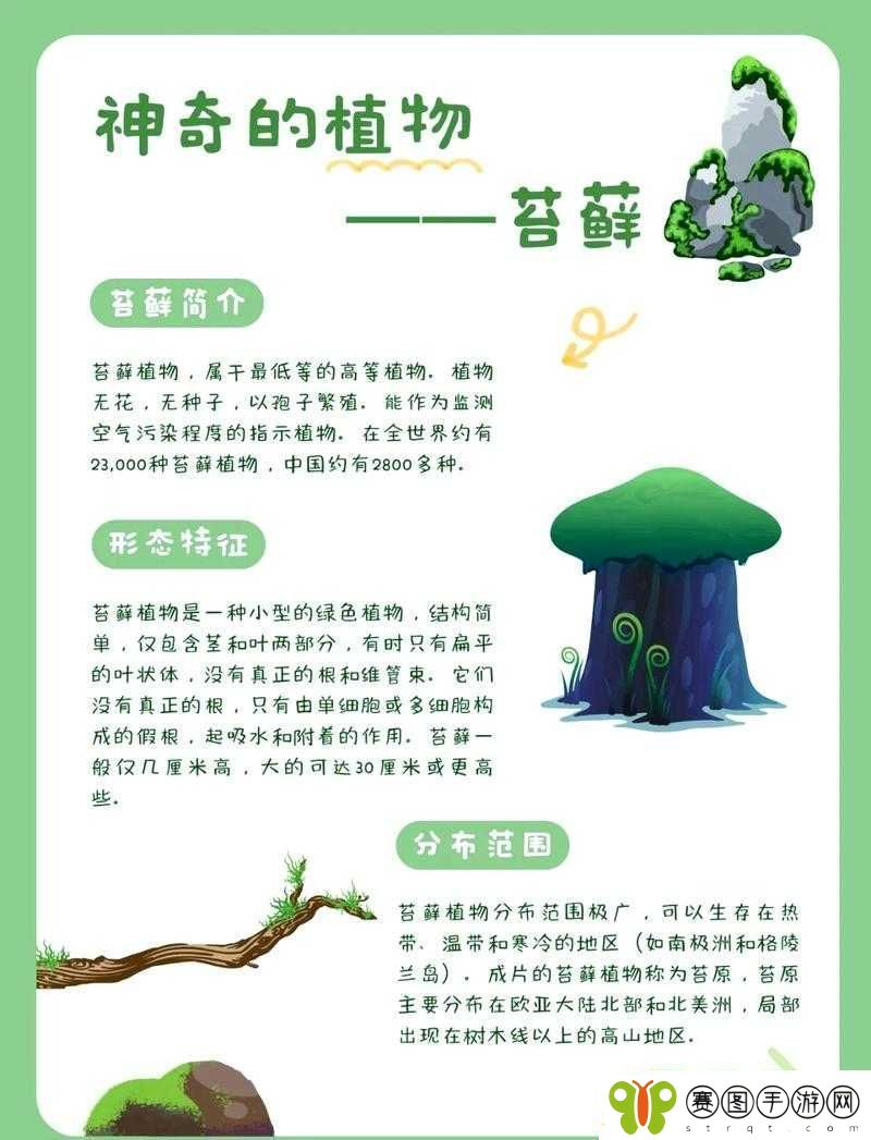 在这个神秘而充满生机的村庄里
