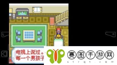 口袋妖怪