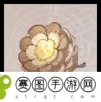《无限暖暖》植物采集攻略