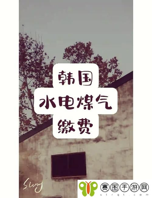 好看的韩国三色电费