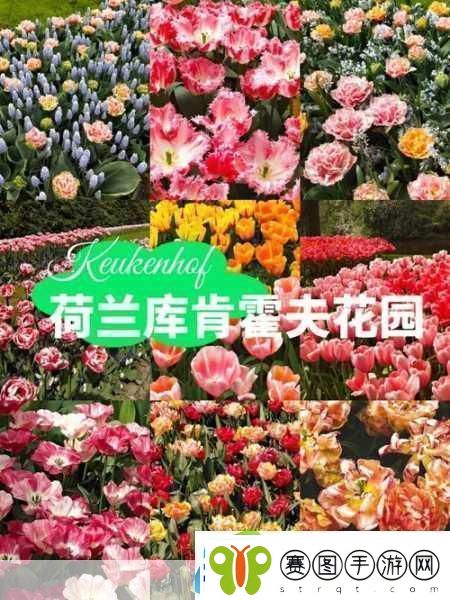 男子肯亲花园说明什么