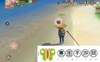 小森生活海岛旅游指南