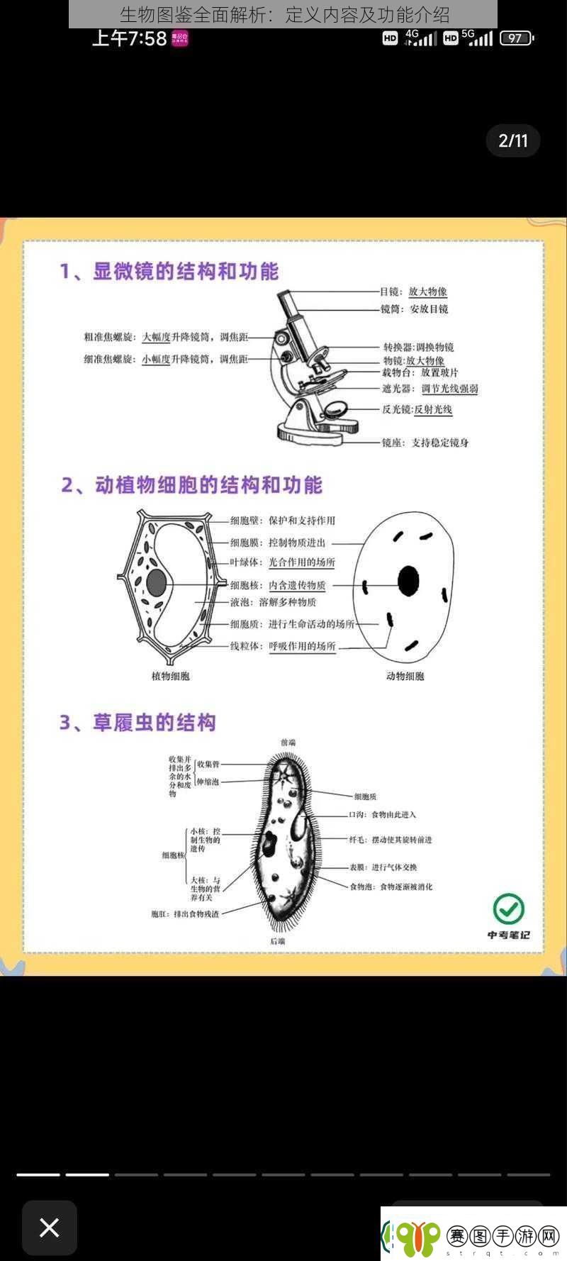 生物图鉴全面解析