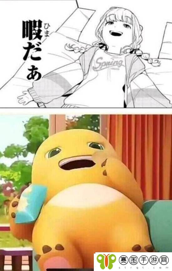 不想娶网红老婆凑合过