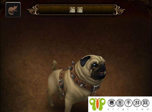 魔兽世界宠物溜溜具体获取指南