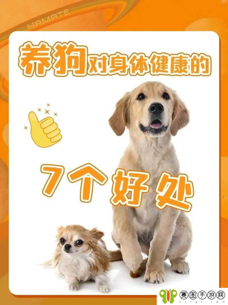 一家充满爱与陪伴的公司