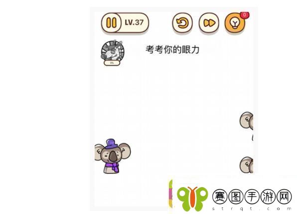 烧脑大师
