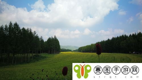 铜铜铜锵锵锵锵锵青青草