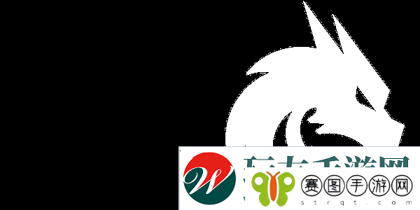 donk论2024年经历