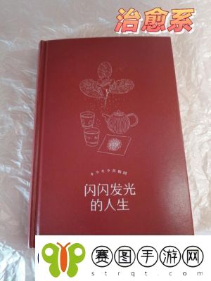 降低精神压力的未来人生策略
