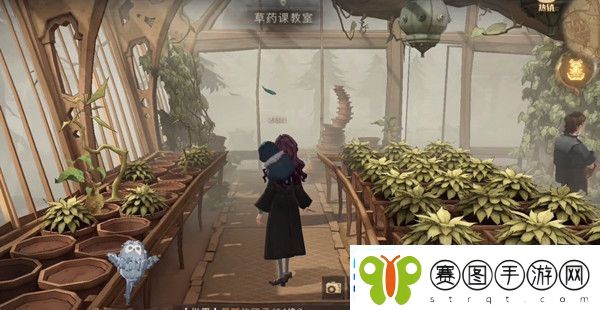哈利波特魔法觉醒9月24日巧克力蛙活动npc位置一览