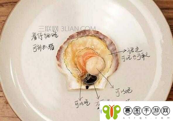 被吃扇贝的感觉