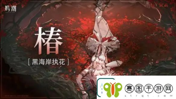 鸣潮洛可可怎么配队