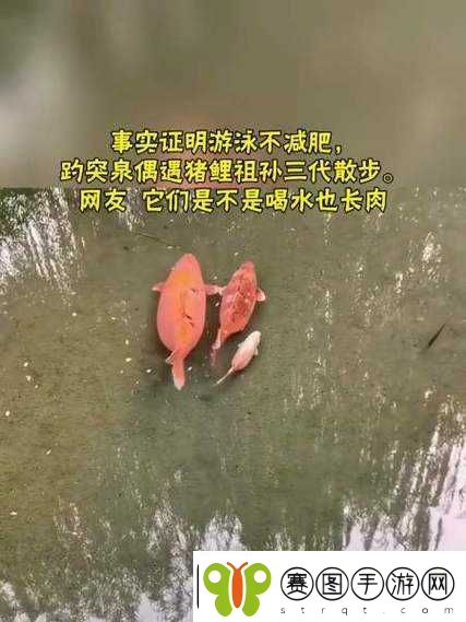 女人鲤鱼喝水