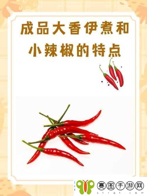大香伊煮小辣椒成品的独特魅力与精彩呈现