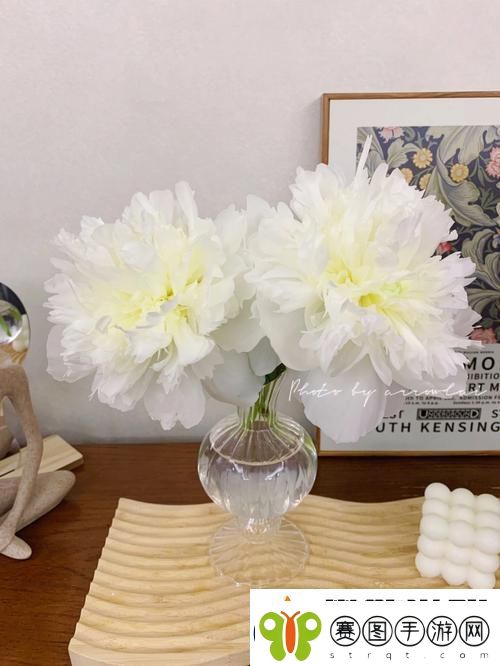 双阳插花芯